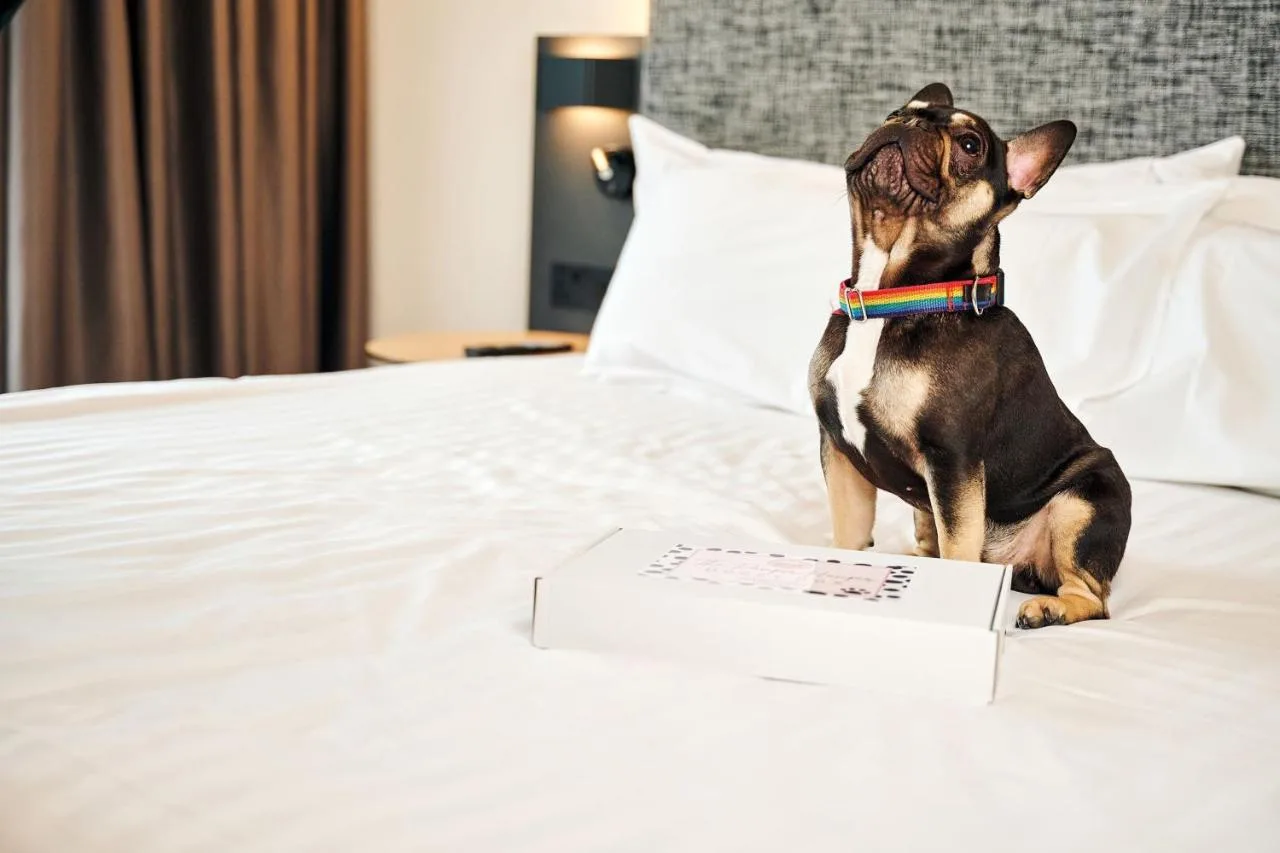 Small dog resting on a bed in a pet-friendly room at the Liverpool hotel